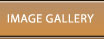 Image Gallery